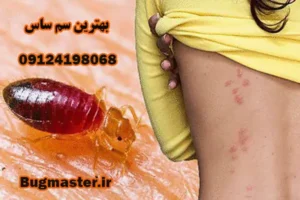 سم ساس بدون بو